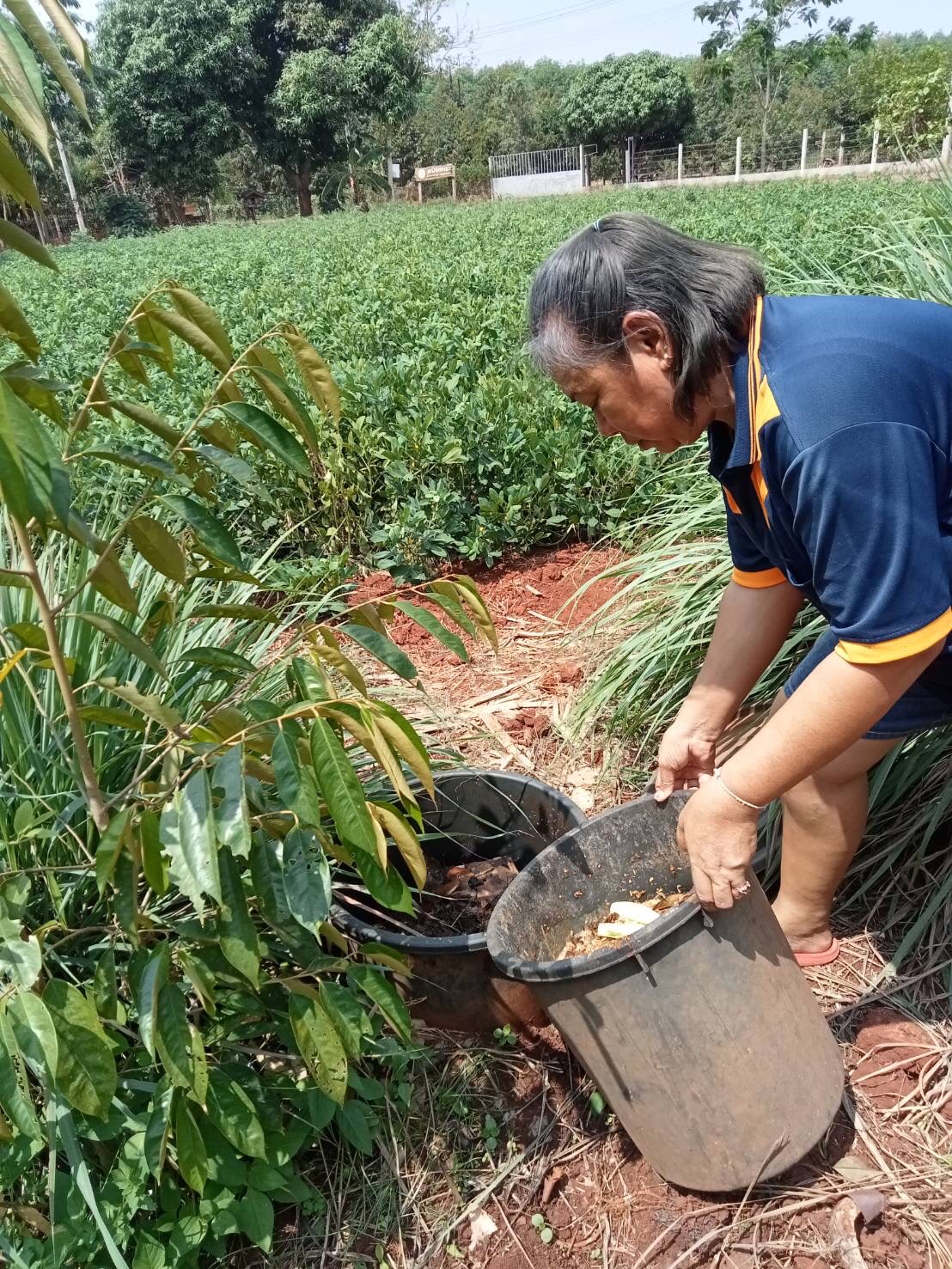 การจัดการการขยะเปียกในเขตเทศบาลตำบลเสิงสาง