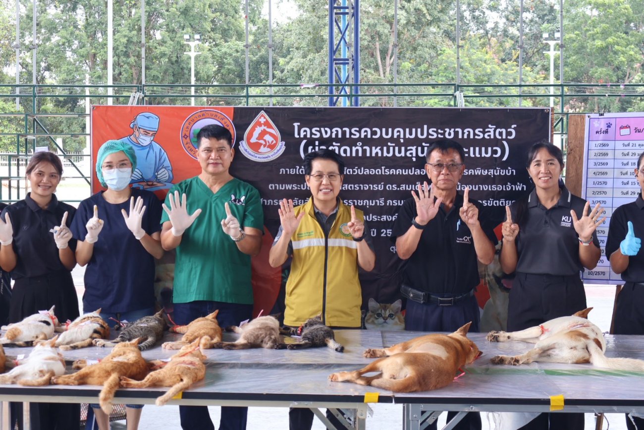 โครงการควบคุมประชากรสัตว์  (ผ่าตัดทำหมันสุนัขและแมว) ประจำปีงบประมาณ 2570 ครั้งที่ 2 จำนวน 40 ตัว (จำนวนสะสม 226 ตัว) ภายใต้โครงการสัตว์ปลอดโรค คนปลอดภัยจากโรคพิษสุนัขบ้า ตามพระปณิธานศาสตราจารย์ ดร.สมเด็จพระเจ้าน้องนางเธอ เจ้าฟ้าจุฬาภรณวลัยลักษณ์ อัครราชกุมารี กรมพระศรีสวางควัฒน วรขัตติยราชนารี